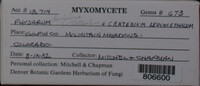 Image Associated With the Occurence